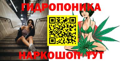 мяу мяу мука Гусь-Хрустальный