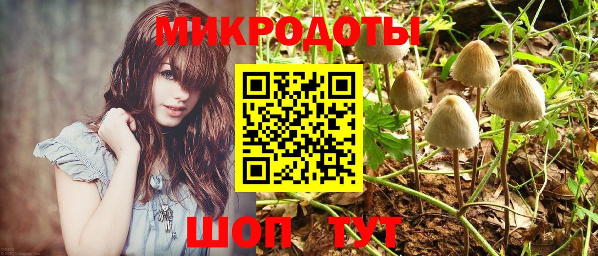 Галлюциногенные грибы Psilocybine cubensis Ликино-Дулёво